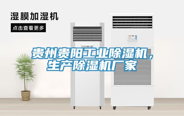 貴州貴陽工業除濕機，生產除濕機廠家