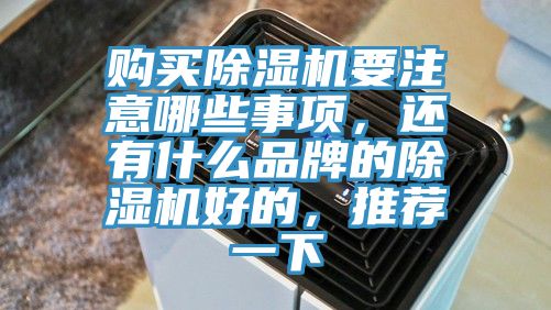 購買除濕機要注意哪些事項，還有什么品牌的除濕機好的，推薦一下