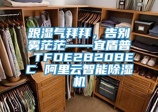 跟濕氣拜拜，告別霧茫?！硕芷?TFDE2B20BEC 阿里云智能除濕機