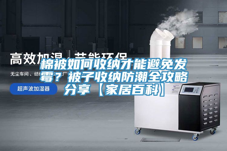 棉被如何收納才能避免發霉？被子收納防潮全攻略分享【家居百科】