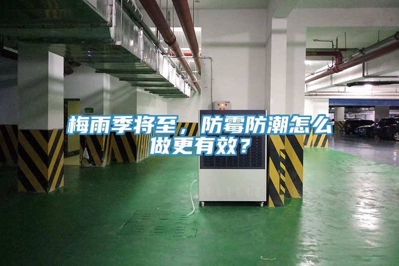 梅雨季將至，防霉防潮怎么做更有效？