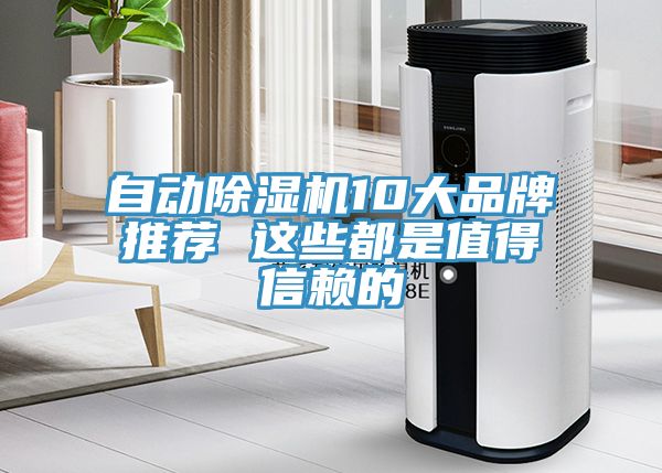自動除濕機10大品牌推薦 這些都是值得信賴的