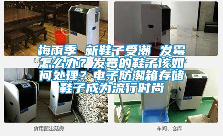 梅雨季 新鞋子受潮 發霉怎么辦？發霉的鞋子該如何處理？電子防潮箱存儲鞋子成為流行時尚