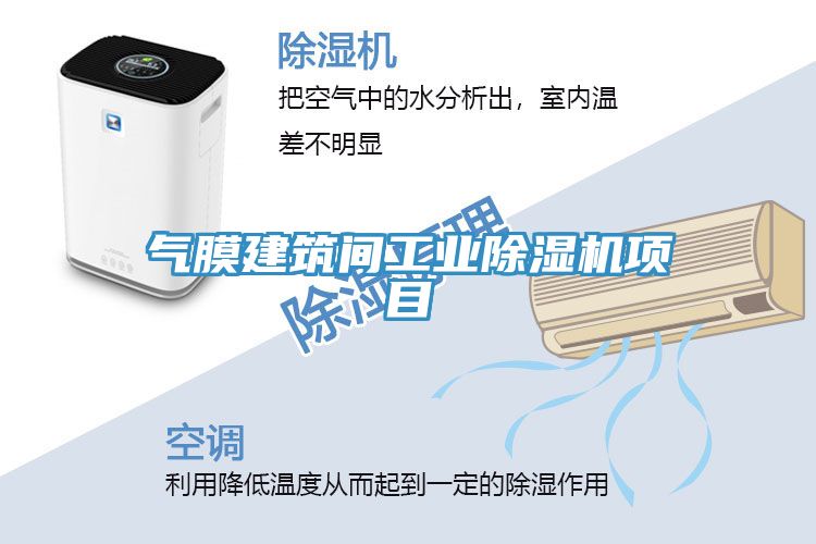 氣膜建筑間工業除濕機項目