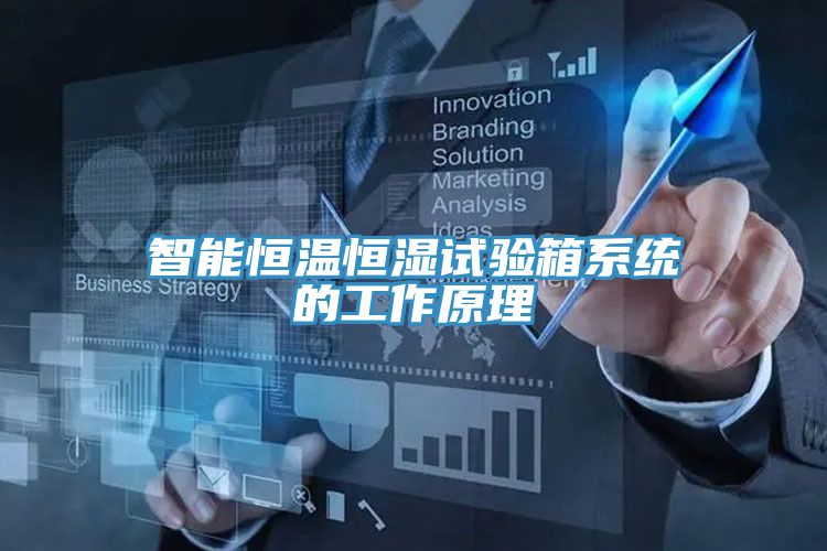 智能恒溫恒濕試驗箱系統的工作原理
