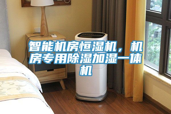 智能機房恒濕機，機房專用除濕加濕一體機