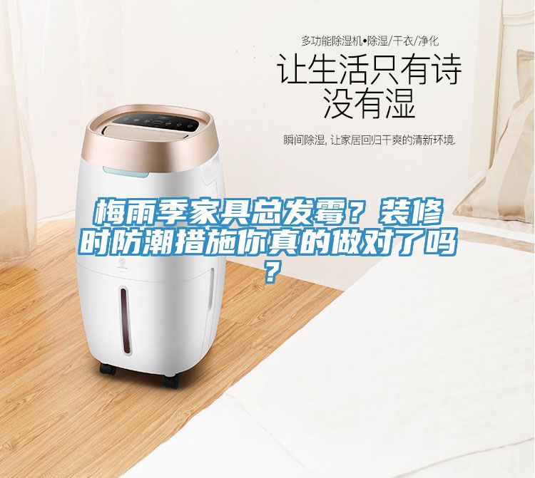 梅雨季家具總發霉？裝修時防潮措施你真的做對了嗎？