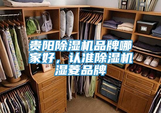 貴陽除濕機品牌哪家好，認準除濕機濕菱品牌