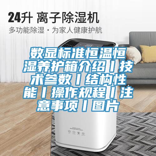 數顯標準恒溫恒濕養護箱介紹丨技術參數丨結構性能丨操作規程丨注意事項丨圖片