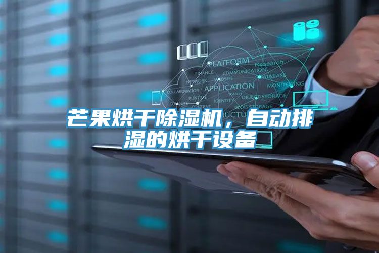 芒果烘干除濕機，自動排濕的烘干設備