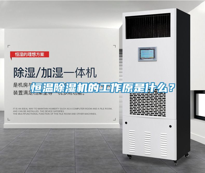 恒溫除濕機的工作原是什么？