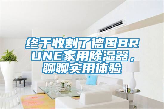 終于收割了德國BRUNE家用除濕器，聊聊實用體驗