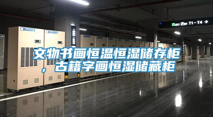 文物書畫恒溫恒濕儲存柜,古籍字畫恒濕儲藏柜