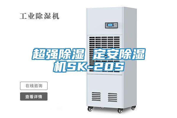 超強除濕 定安除濕機SK-20S