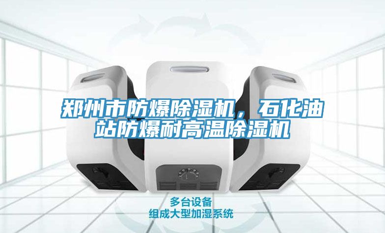 鄭州市防爆除濕機，石化油站防爆耐高溫除濕機
