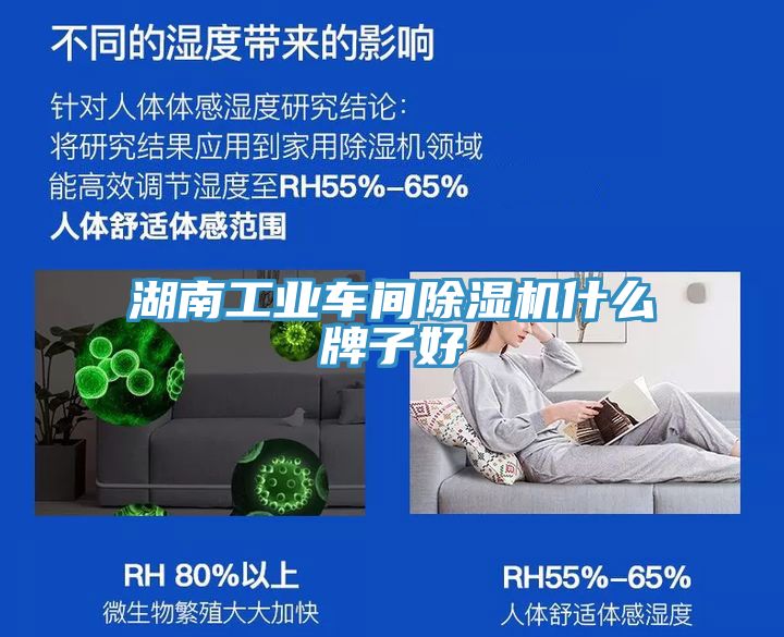湖南工業車間除濕機什么牌子好