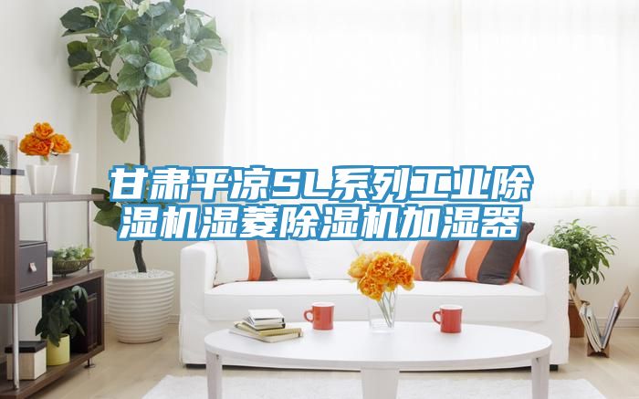 甘肅平涼SL系列工業除濕機濕菱除濕機加濕器