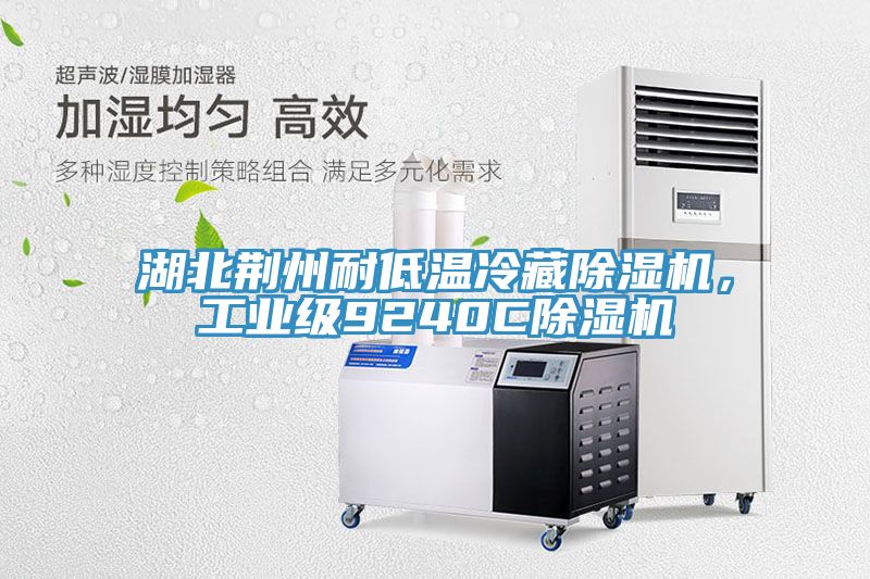 湖北荊州耐低溫冷藏除濕機，工業級9240C除濕機