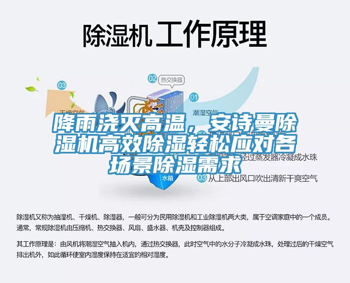 降雨澆滅高溫，安詩曼除濕機高效除濕輕松應對各場景除濕需求