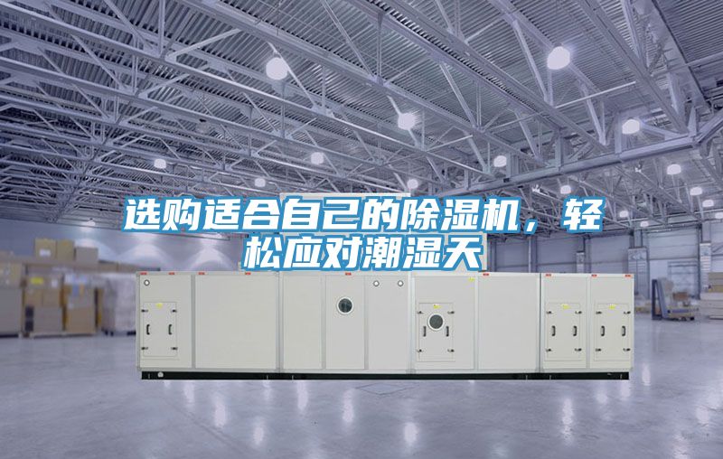 選購適合自己的除濕機，輕松應對潮濕天