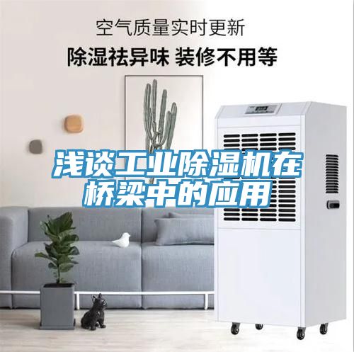 淺談工業除濕機在橋梁中的應用