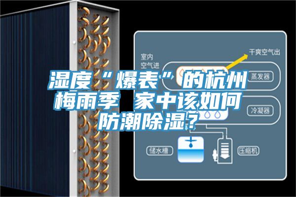 濕度“爆表”的杭州梅雨季 家中該如何防潮除濕？