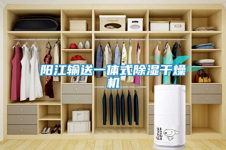 陽江輸送一體式除濕干燥機