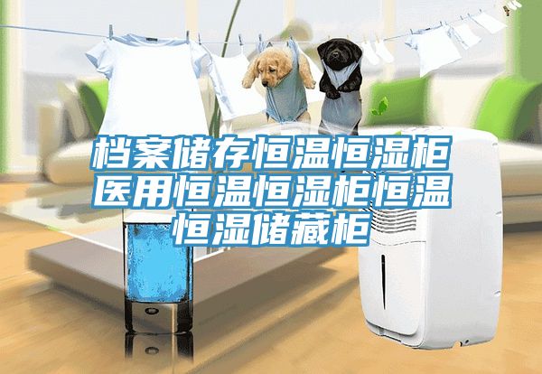 檔案儲存恒溫恒濕柜醫用恒溫恒濕柜恒溫恒濕儲藏柜