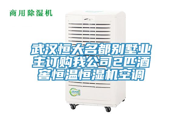 武漢恒大名都別墅業主訂購我公司2匹酒窖恒溫恒濕機空調