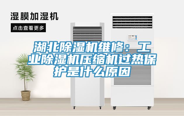 湖北除濕機維修：工業除濕機壓縮機過熱保護是什么原因