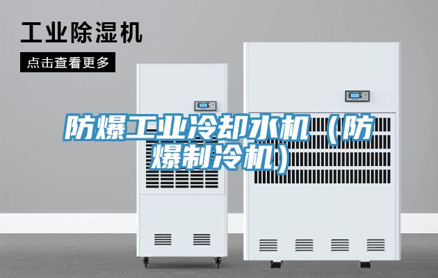 防爆工業冷卻水機（防爆制冷機）
