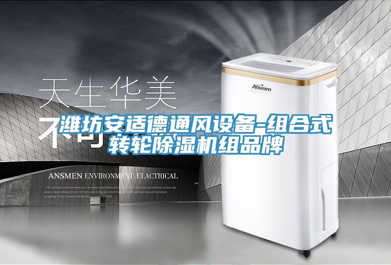 濰坊安適德通風設備-組合式轉輪除濕機組品牌