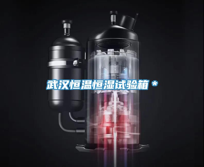 武漢恒溫恒濕試驗箱＊