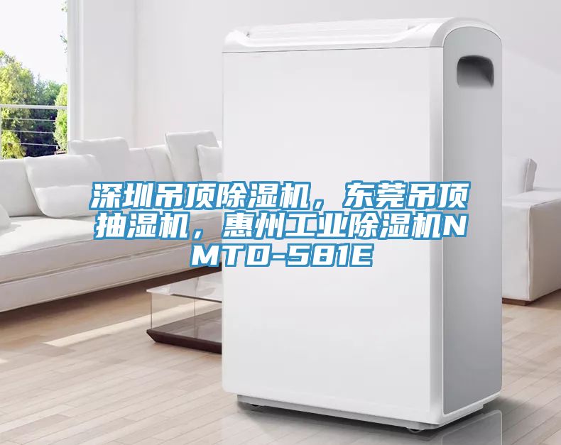 深圳吊頂除濕機，東莞吊頂抽濕機，惠州工業除濕機NMTD-581E