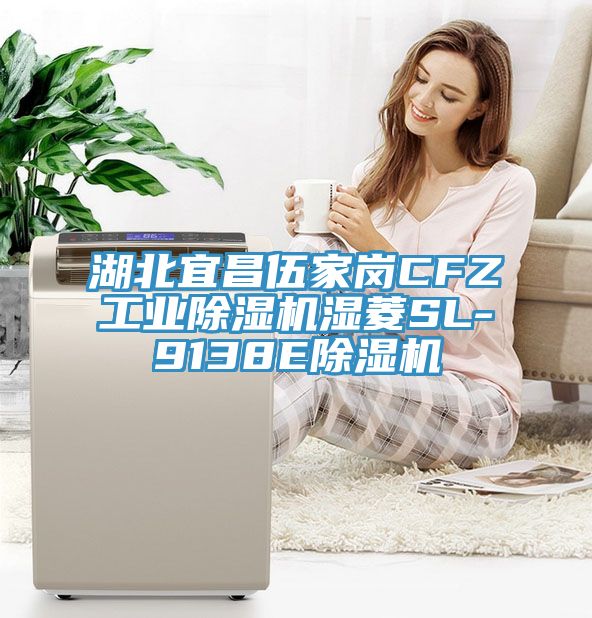 湖北宜昌伍家崗CFZ工業除濕機濕菱SL-9138E除濕機