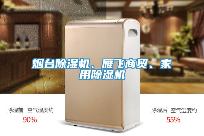 煙臺除濕機、雁飛商貿、家用除濕機