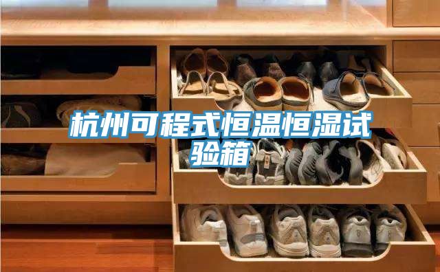 杭州可程式恒溫恒濕試驗箱