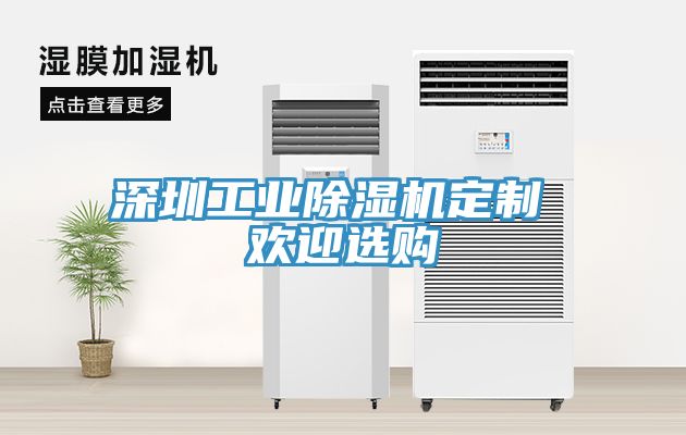 深圳工業除濕機定制 歡迎選購