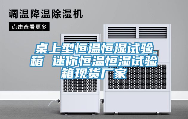 桌上型恒溫恒濕試驗箱 迷你恒溫恒濕試驗箱現貨廠家