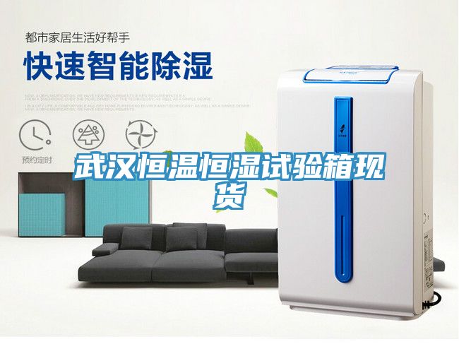武漢恒溫恒濕試驗箱現貨