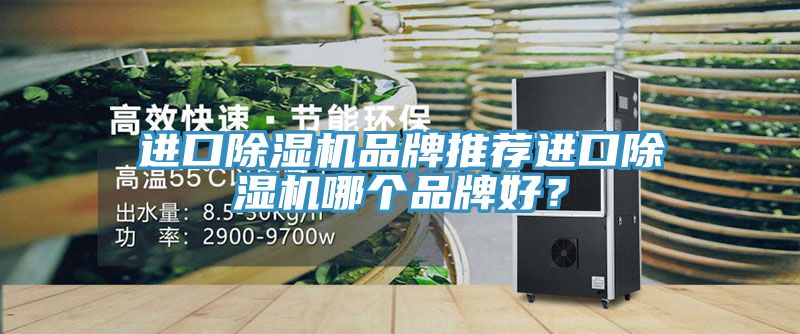 進口除濕機品牌推薦進口除濕機哪個品牌好？