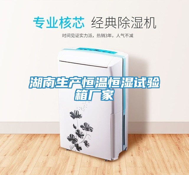 湖南生產恒溫恒濕試驗箱廠家