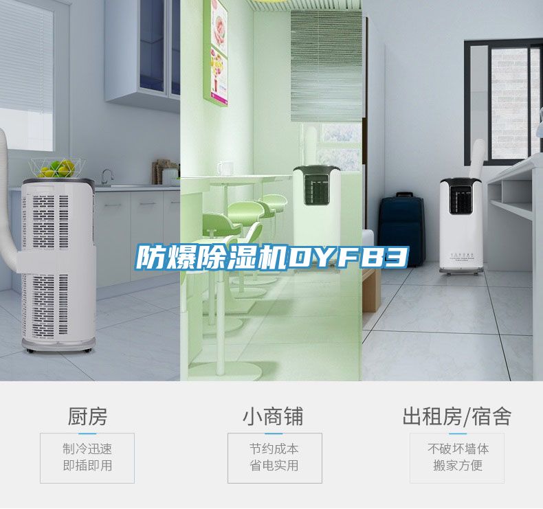 防爆除濕機DYFB3