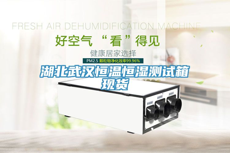 湖北武漢恒溫恒濕測試箱現貨