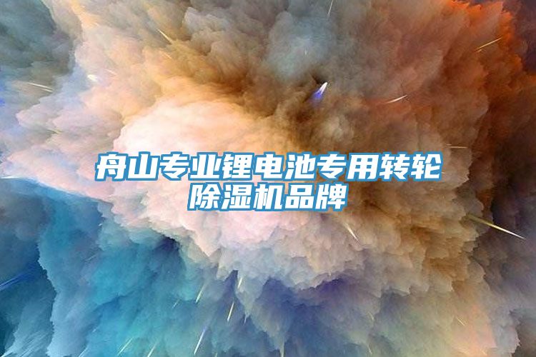舟山專業鋰電池專用轉輪除濕機品牌