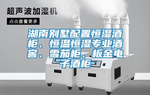 湖南別墅配置恒濕酒柜、恒溫恒濕專業酒窖、雪茄柜、板金電子酒柜