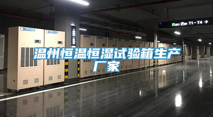溫州恒溫恒濕試驗箱生產廠家