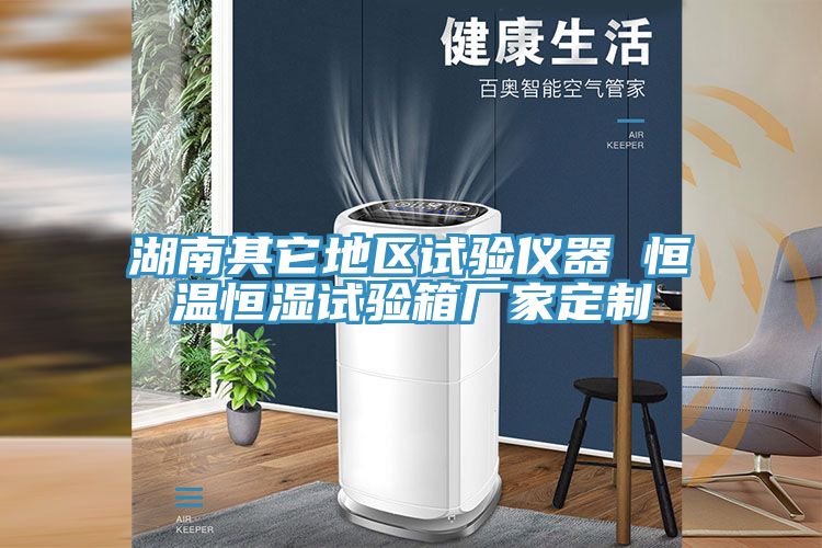 湖南其它地區試驗儀器 恒溫恒濕試驗箱廠家定制