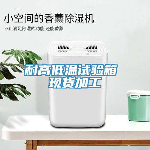 耐高低溫試驗箱 現貨加工