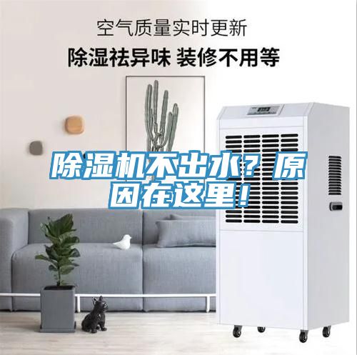 除濕機不出水？原因在這里！